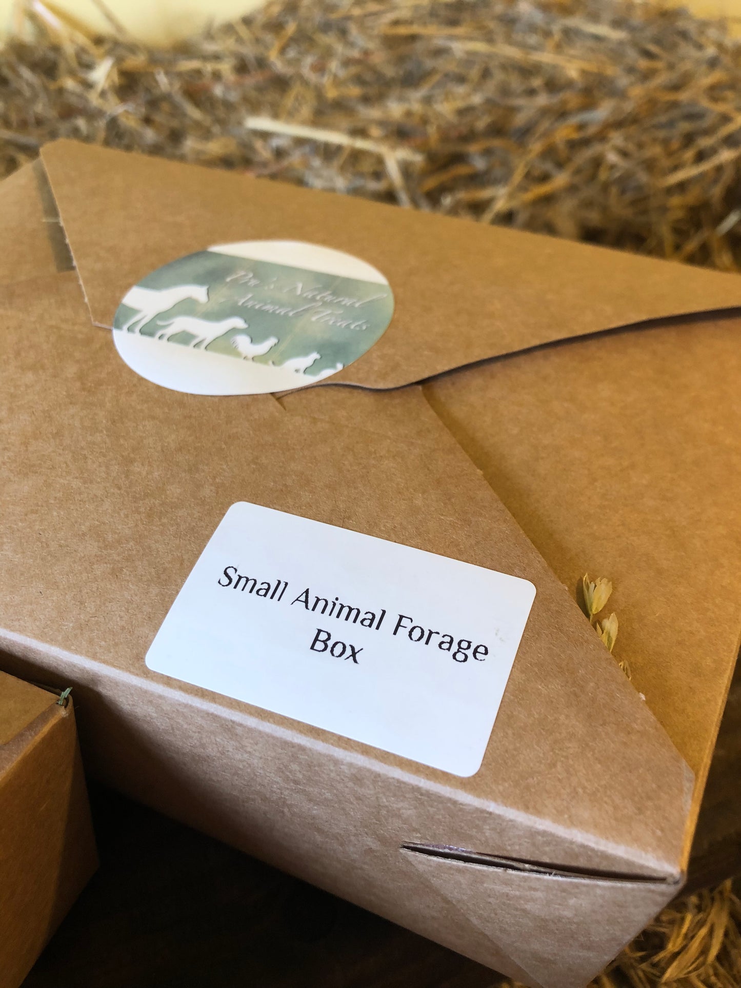 Small animal forage box