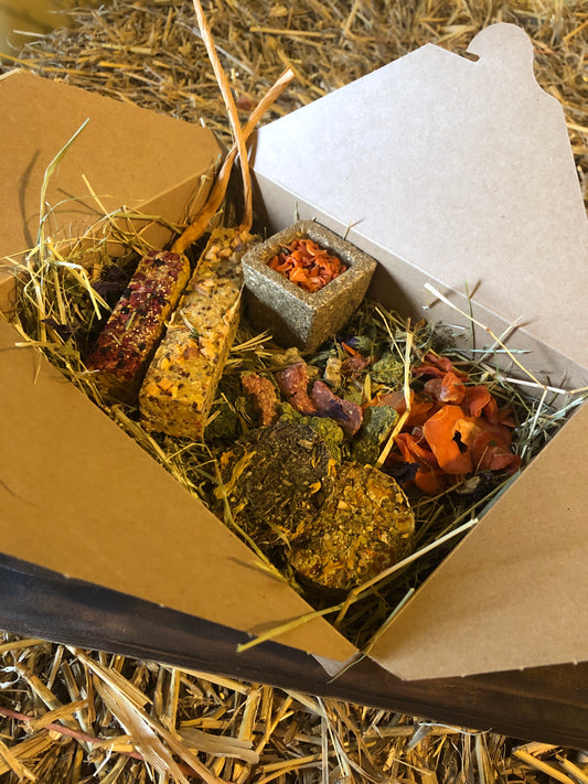 Small animal forage box